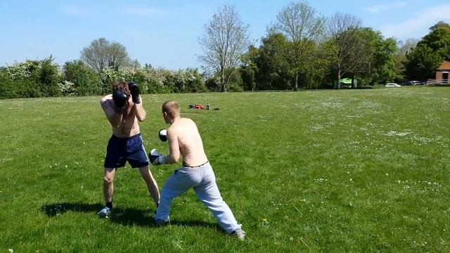Backyard boxing sparring 10oz adidas boxing gloves смотреть онлайн