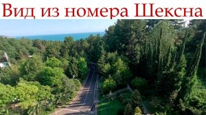 Сочи номер в пансионате Шексна!