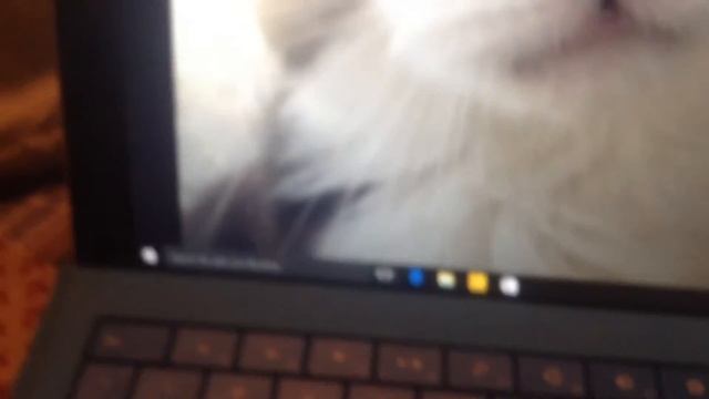 Windows 8.1 vs Windows 10 смотреть онлайн