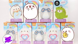 Сюрпризы-коробочки Sweet Box, с серией Molang. Полная серия в одном блоке.