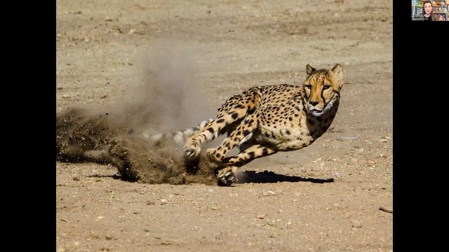 San Diego Zoo Storytime: Ruuxa and Raina смотреть онлайн