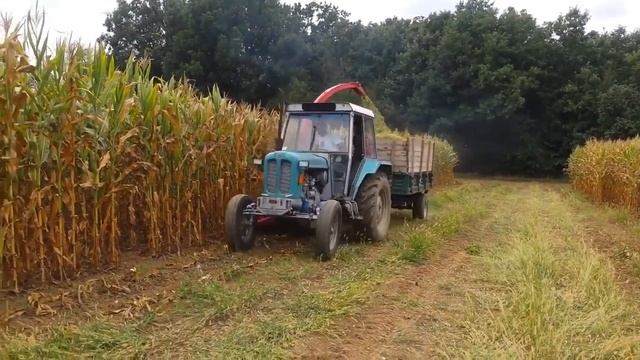 silos aparat смотреть онлайн