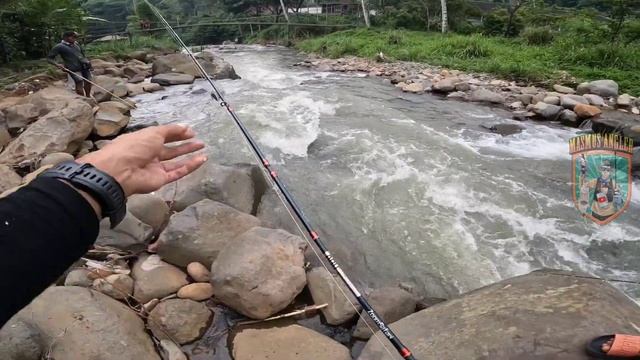 SPIL UMPAN DAN CARA CASTING IKAN DEWA/MAHSEER DIARUS DERAS #ikandewa #tombro #casting #mahseerfish смотреть онлайн
