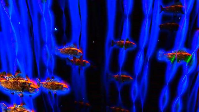 Filtered with glow effect: Fish in the Sea 3D rendered fractal textured animation смотреть онлайн