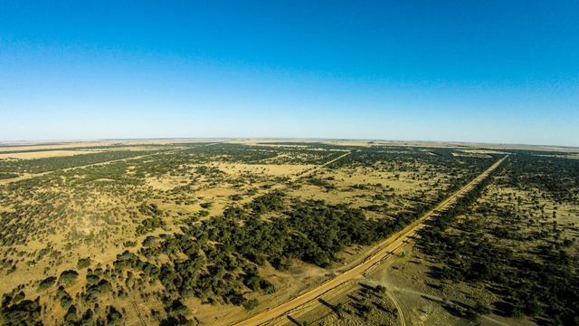 Hunting in South Africa | Best African Hunting Safaris | Somerby Safaris смотреть онлайн