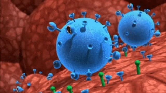 WHAT IS VIRUS..? | TOP 12 DEADLIEST VIRUSES ON EARTH | DIFFERENCE BETWEEN BACTERIA AND VIRUS.., смотреть онлайн