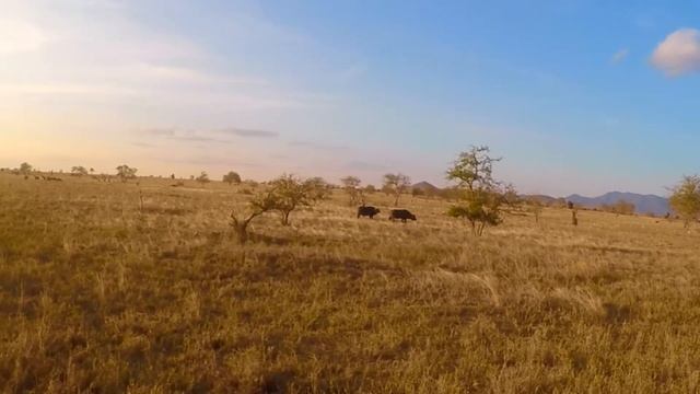 Kenya, Africa | Mombasa, Tsavo Safari, Salt Lick, Diani Beach | GoPro HERO4 Silver | Summer 2017 смотреть онлайн