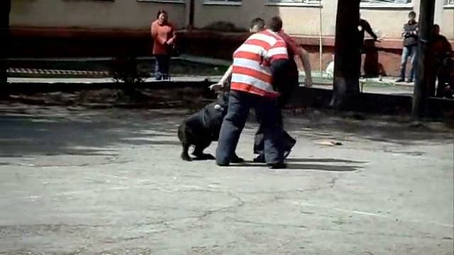 Korvin.wmv смотреть онлайн