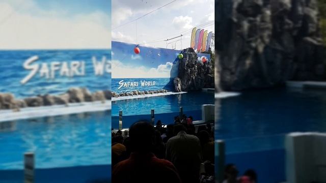 Safari World Adventure смотреть онлайн