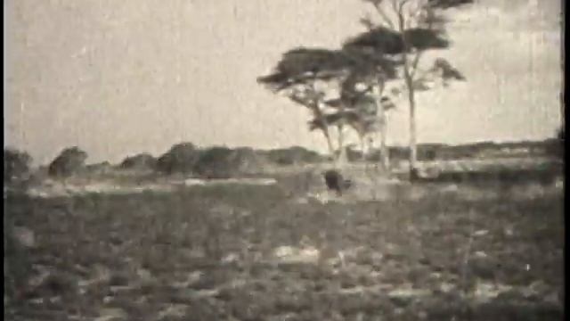 JC "Kid" Nichols African Safari 1929-1930 Incredible Adventure смотреть онлайн