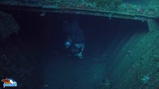 Tulamben Shipwreck - Bali Dive Safari смотреть онлайн