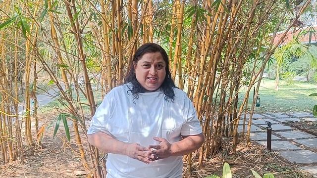 Tadoba Jungle Safari,stayed in Taru vann resort / ताडोबा जंगल सफारी Part -1 смотреть онлайн