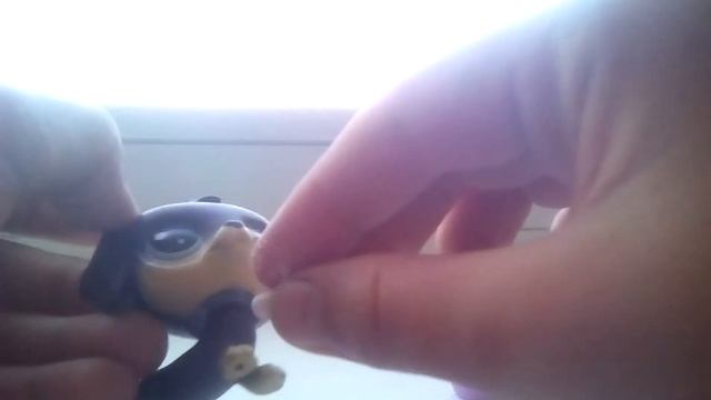 Кухня пэтов смотреть онлайн