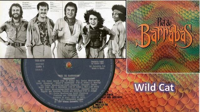 Wild Cat/Barrabás 1981 смотреть онлайн