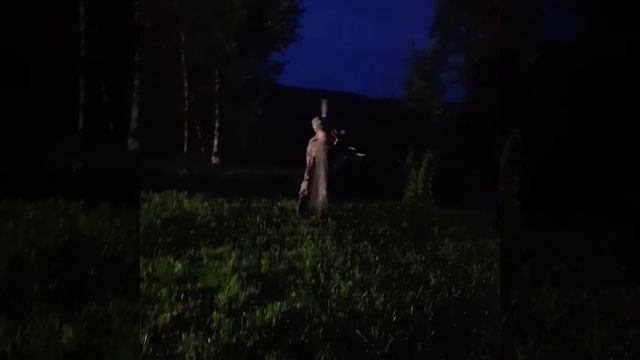 Вечерняя зарядка. Серёга Рад крутит бревно. смотреть онлайн