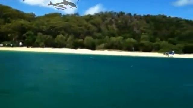 Streaka Demo - Dolphin Wild Eco Island Safaris - 12:39pm Thursday 16th of February 2012 смотреть онлайн
