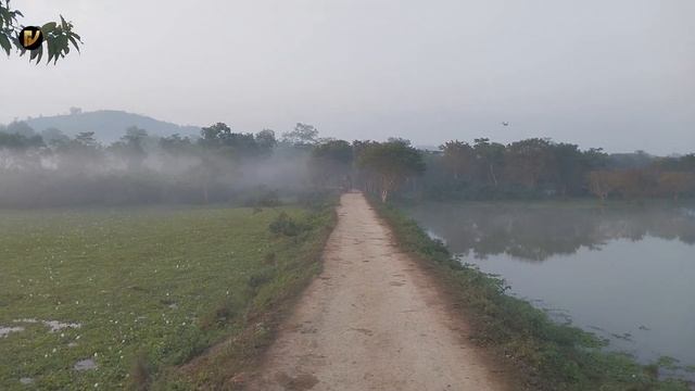 Kaziranga Elephant Safari, Bagori Gate || Important Information About Jungle Safari смотреть онлайн