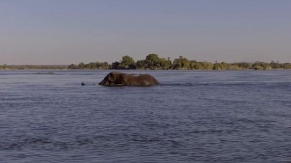 Ultimate River Cruise on Zambezi River | Livingstone's Adventure