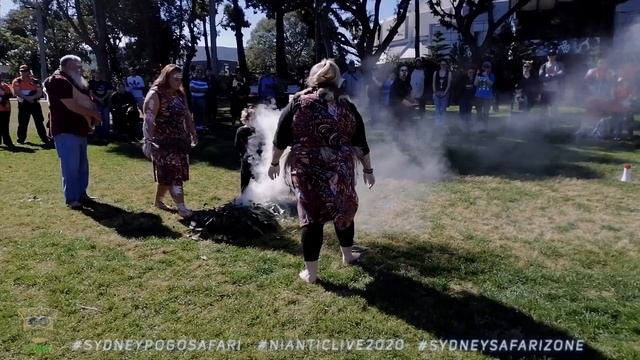 #NianticLive2020 Bring Pokémon GO Safari to Sydney Australia смотреть онлайн