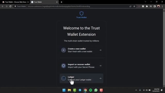 How to Add Trust Wallet to your Browser | 2023 смотреть онлайн