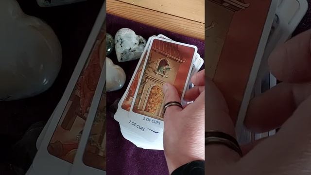 A walk through of Tarot of the 78 doors смотреть онлайн