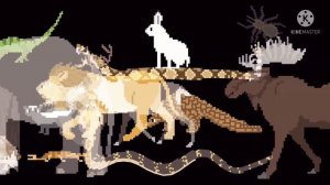 (MOST POPULAR VIDEO) An Animal Stampede For @TheKidsPictureShow