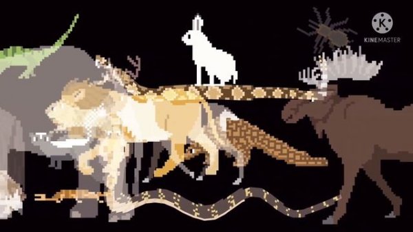 (MOST POPULAR VIDEO) An Animal Stampede For @TheKidsPictureShow