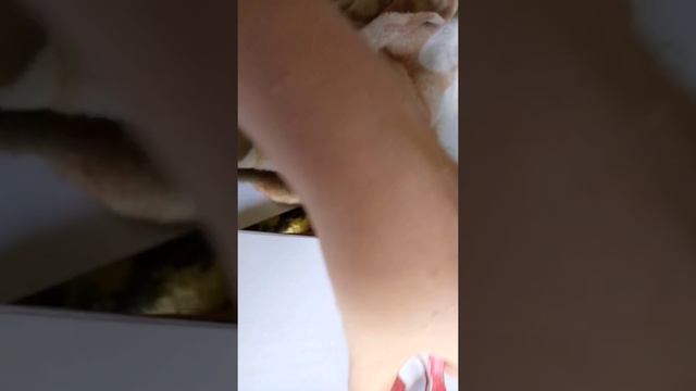 бумажная кухня