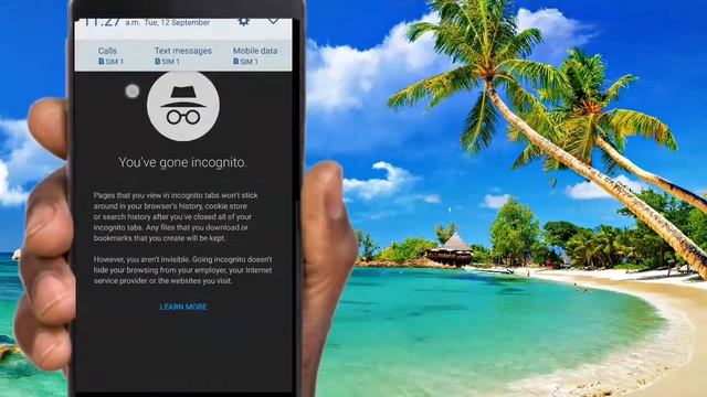 Safe, Secure and Private Browsing on Google Chrome with Incognito Tab смотреть онлайн