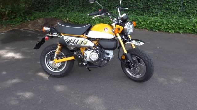 2019 Honda Monkey Review - Is it worth the price? смотреть онлайн