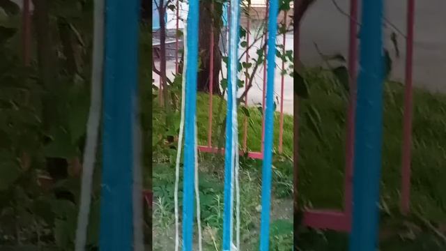 мужчины пьют вне дома без жены потому, что дома ждет злая недовольная жена смотреть онлайн