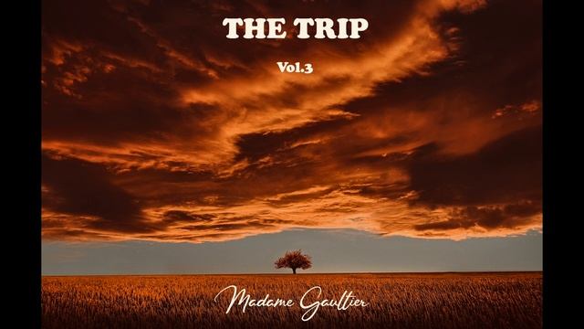 The Trip Vol 3 by Mme Gaultier смотреть онлайн