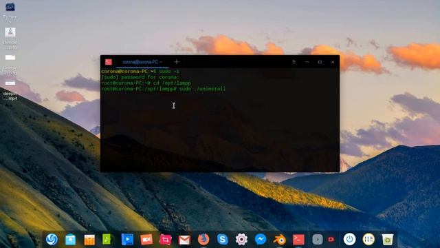 uninstall xampp server in ubuntub usee terminal command**exclusive**2020** смотреть онлайн