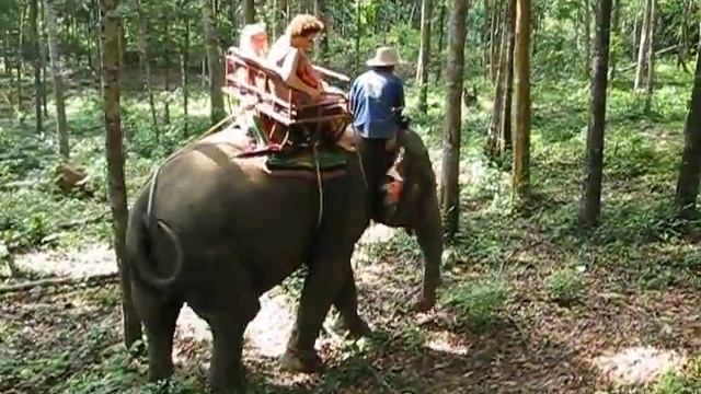Koh Chang Elephant ride смотреть онлайн