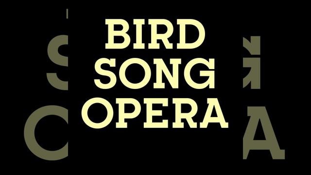 Bird Song Opera смотреть онлайн