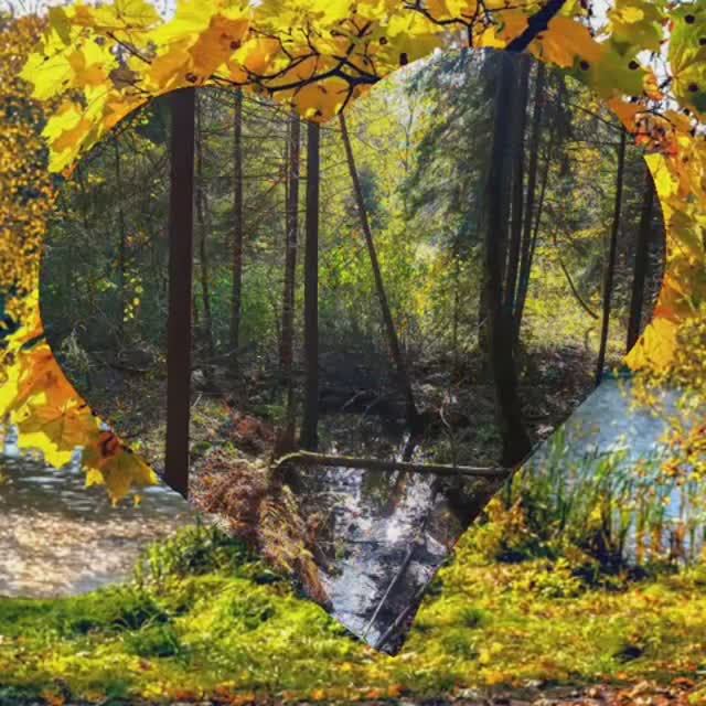 Осенние зарисовки ближайшего Замкадья и его окрестностей. Лосиный остров.