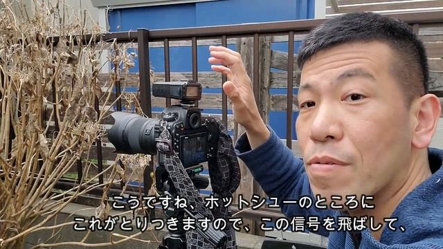 【曇り空でも印象的な光を！】ケンコーAIフラッシュをワイヤレス発光！（動画No.526） смотреть онлайн