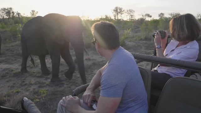 Tauck | What are the Big 5? On Safari in South Africa смотреть онлайн
