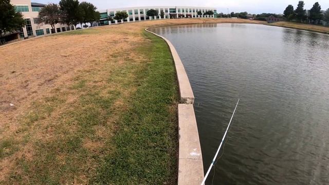 Casting a 2 Inch Chrome Rattle Trap for White Crappies #fishing смотреть онлайн