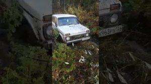 Сафари540 205/75/15 рулят