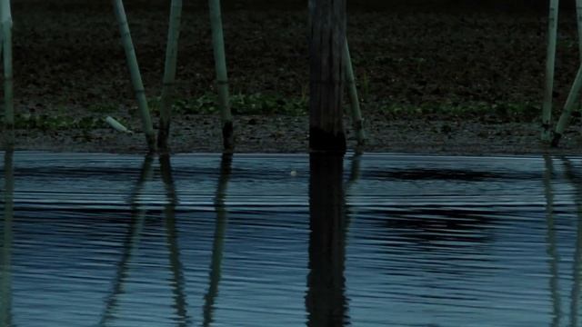 Fishing Safari web ver. #5 смотреть онлайн