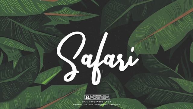 "Safari" | J Balvin x Ozuna Type Beat смотреть онлайн