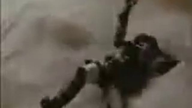 Bravestar смотреть онлайн