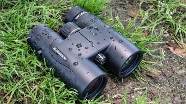 Best Binoculars for Birding / Top 7 Binoculars for Birding смотреть онлайн