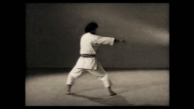 12 Каратэ. Наследие Накаямы. Ката Канку Шо