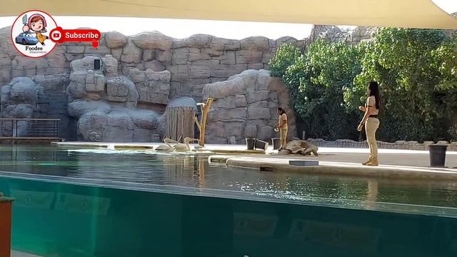 @ trip to Safari Park Dubai #safaripark #feildtrip_during_covid19 #worldfamousanimalpark смотреть онлайн