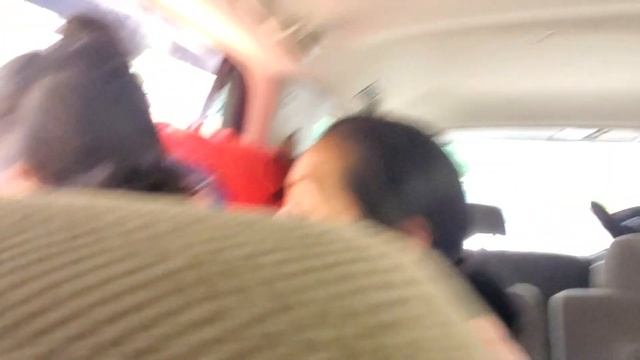 día de safari en familia смотреть онлайн