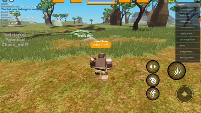 All your pain in ONE Playbox Safari video, the dev Is Vulro смотреть онлайн