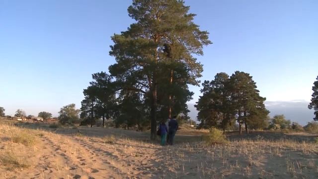 «Travel around Kazakhstan!» №25: Bukey Horde Historical and museum complex