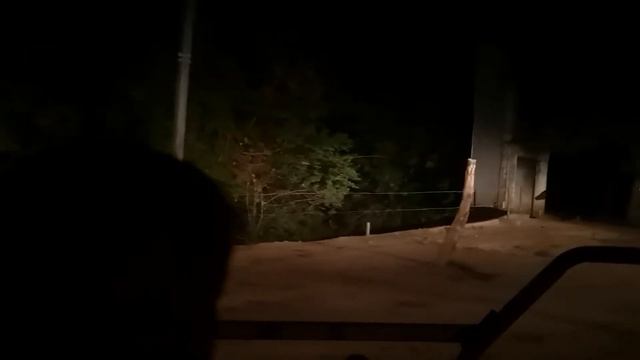 Chiangmai Night Safari - South Zone смотреть онлайн